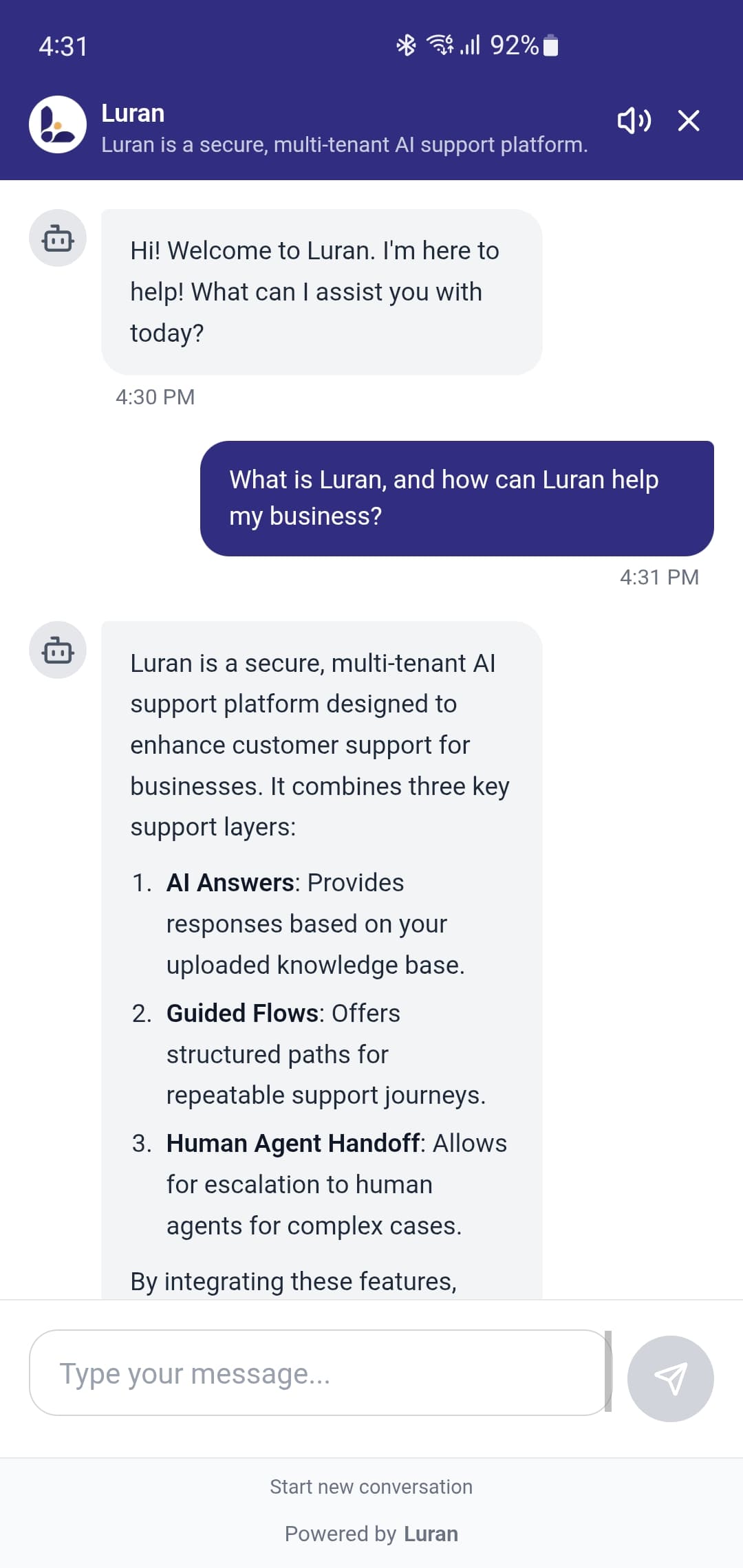 Luran Chat Interface